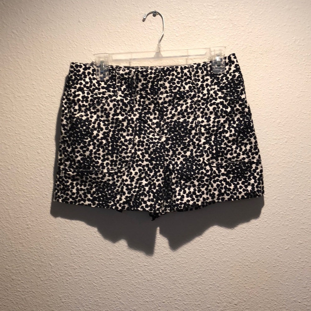 Ann Taylor loft shorts